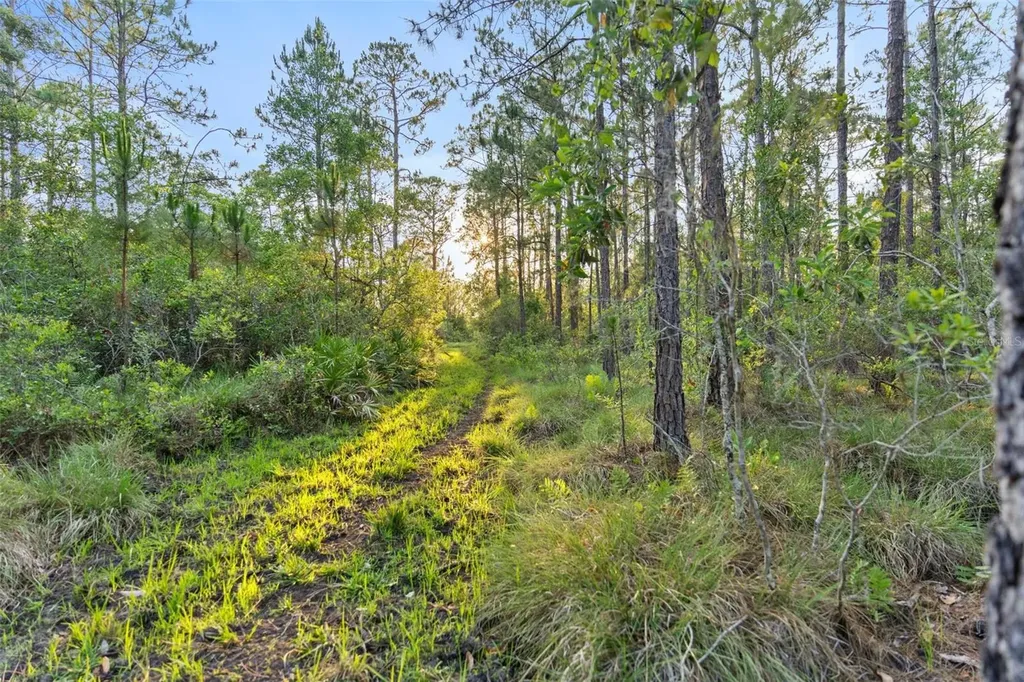 1980 Lake Buffum Road E Fort Meade FL 33841