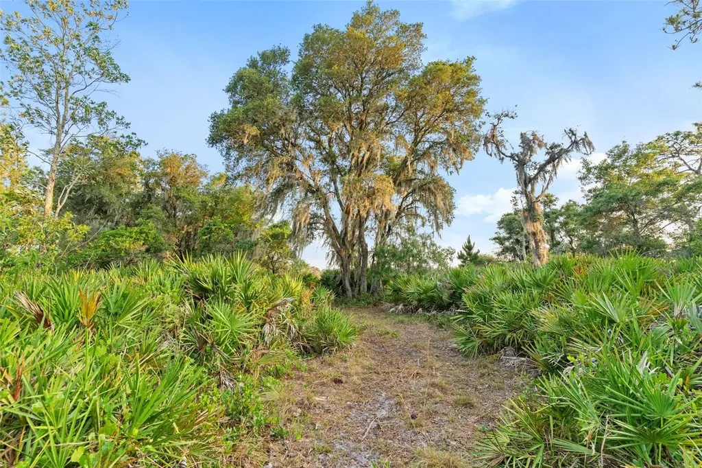 1980 Lake Buffum Road E Fort Meade FL 33841