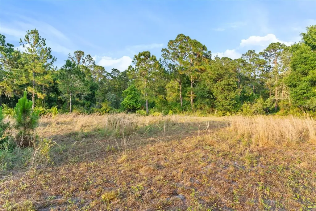 1980 Lake Buffum Road E Fort Meade FL 33841