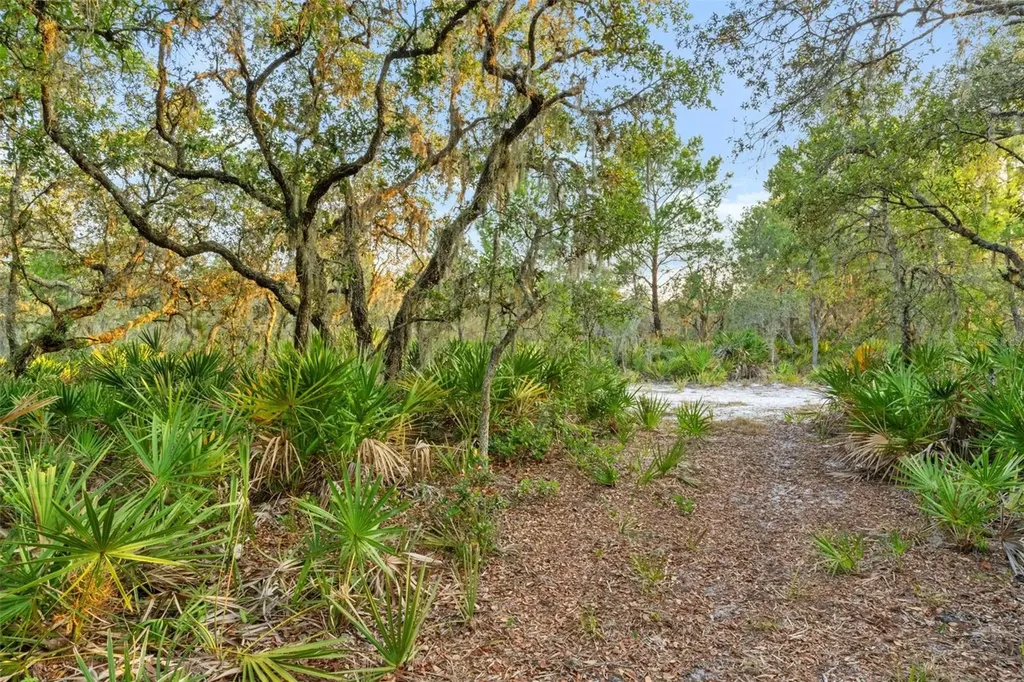 1980 Lake Buffum Road E Fort Meade FL 33841