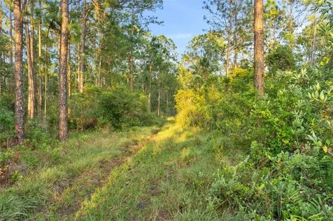 1980 Lake Buffum Road E Fort Meade FL 33841