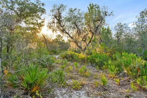 1980 Lake Buffum Road E Fort Meade FL 33841