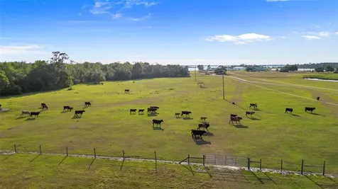 1980 Lake Buffum Road E Fort Meade FL 33841