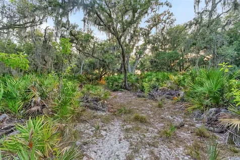 1980 Lake Buffum Road E Fort Meade FL 33841