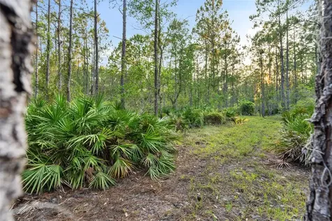 1980 Lake Buffum Road E Fort Meade FL 33841