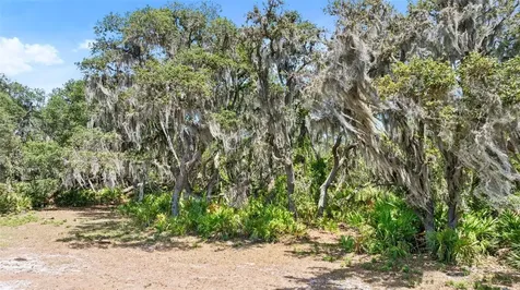 1980 Lake Buffum Road E Fort Meade FL 33841