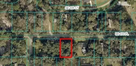 Tbd SE 130th Place Ocklawaha FL 32179