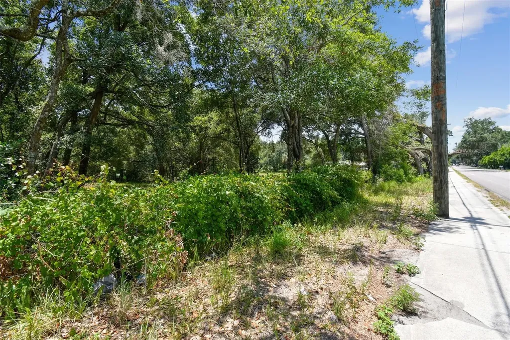 10413 Main Street Thonotosassa FL 33592