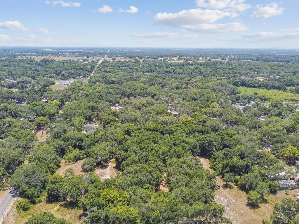 10413 Main Street Thonotosassa FL 33592