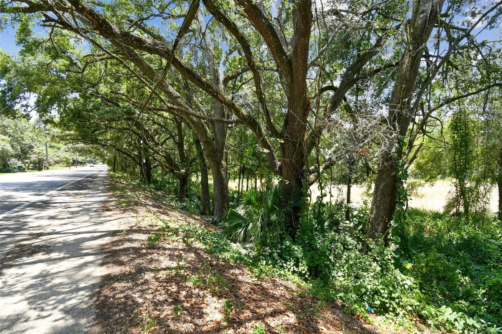 10413 Main Street Thonotosassa FL 33592