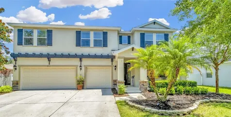 2233 Valterra Vista Way Valrico FL 33594