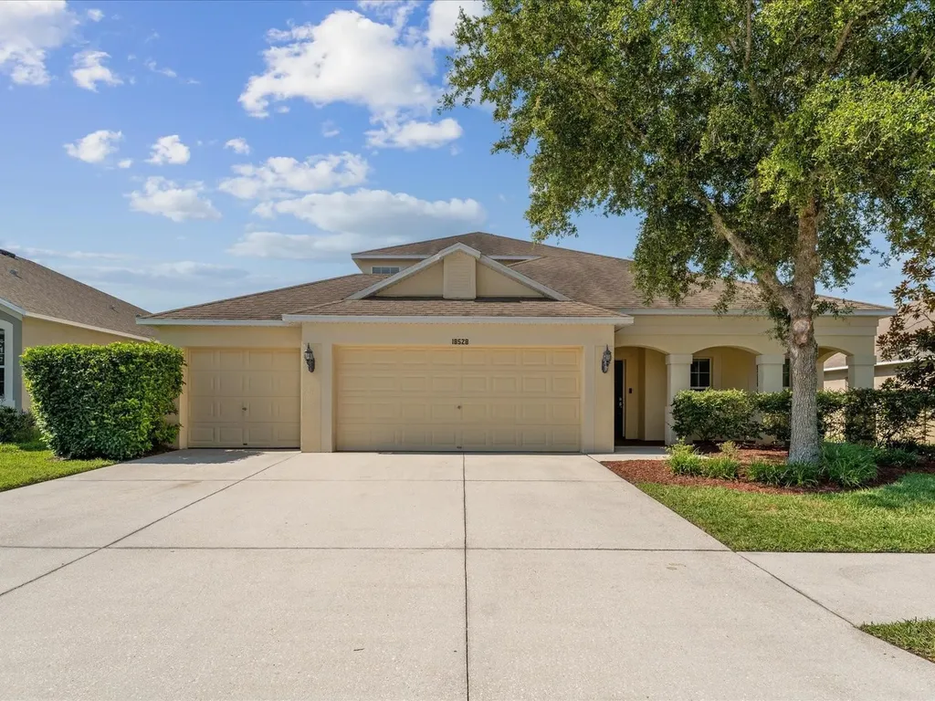 18528 New London Avenue Land O Lakes FL 34638