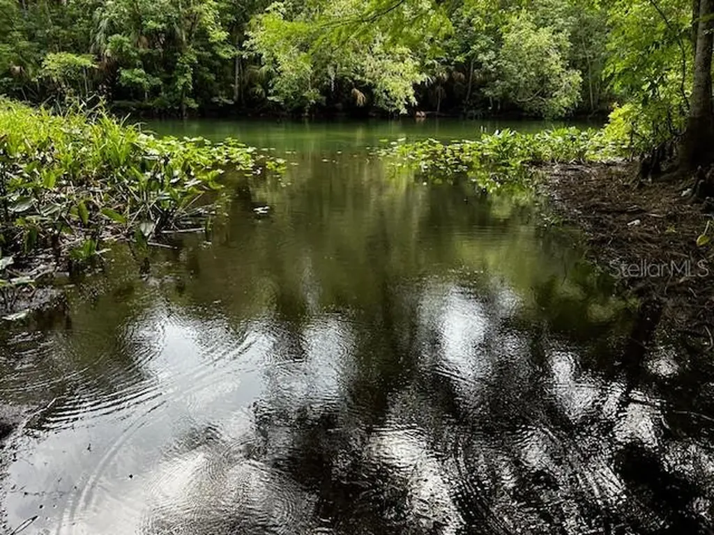 7205 NE 61st Avenue Road Silver Springs FL 34488