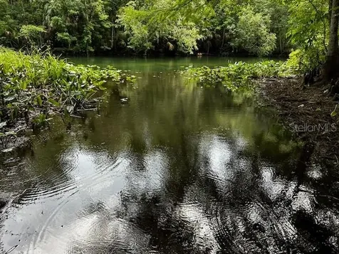 7205 NE 61st Avenue Road Silver Springs FL 34488