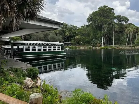 7205 NE 61st Avenue Road Silver Springs FL 34488