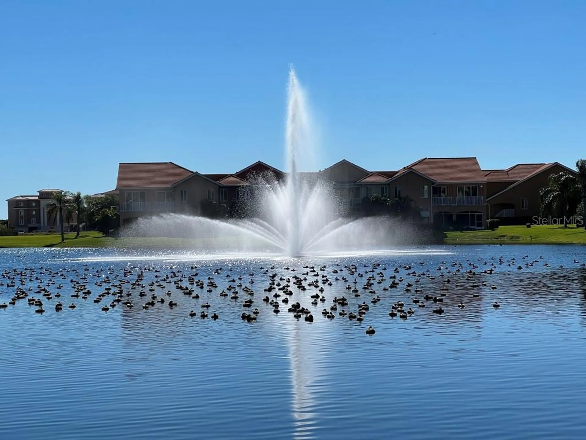 17B Franklin Court S St Petersburg FL 33711