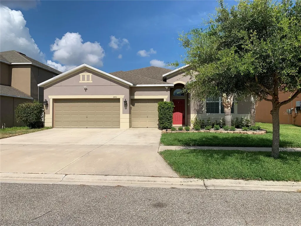 2431 Dakota Cliff Street Ruskin FL 33570