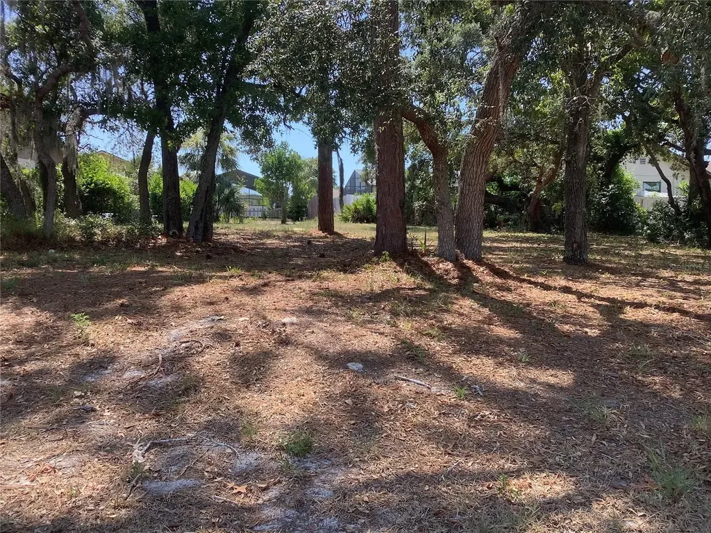 18657 White Pine Circle Hudson FL 34667