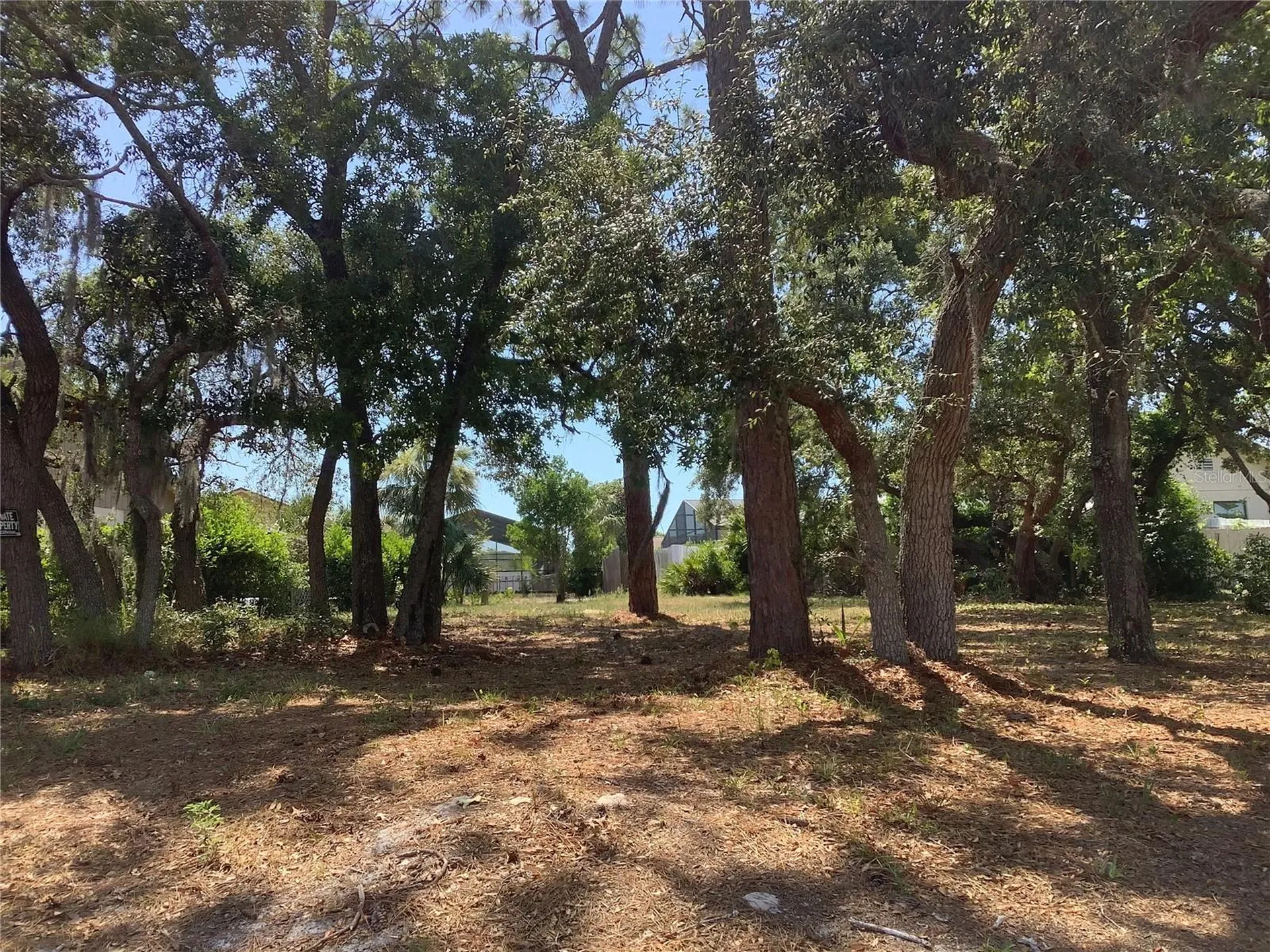 18657 White Pine Circle Hudson FL 34667