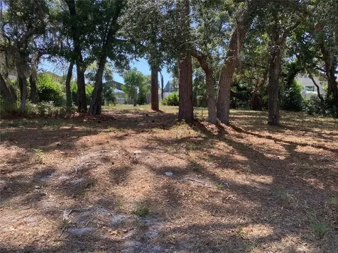 18657 White Pine Circle Hudson FL 34667