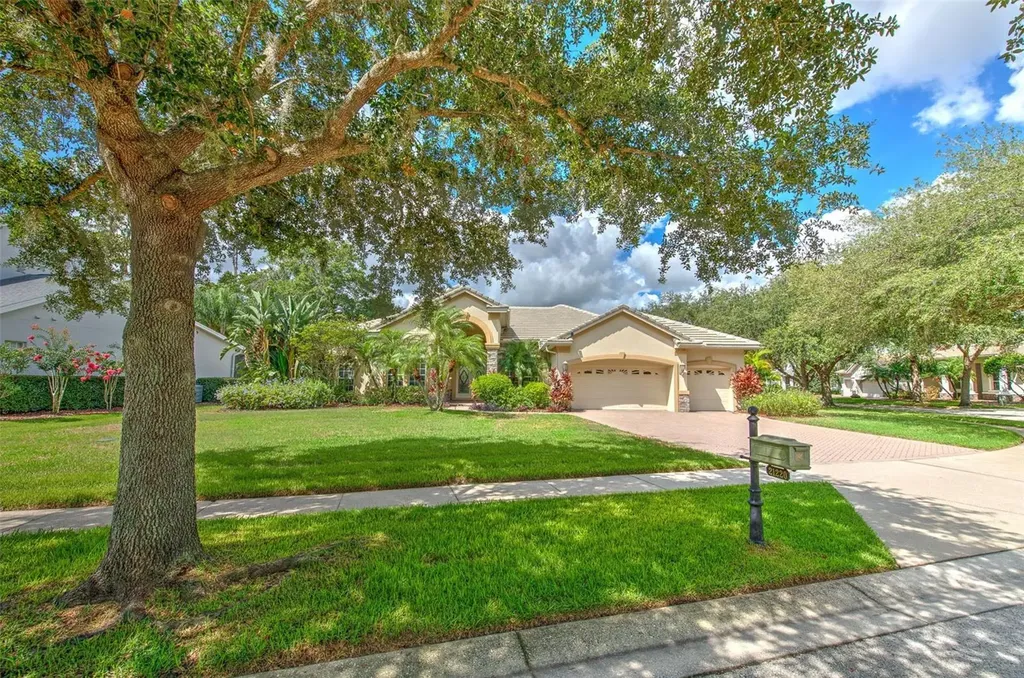 21220 Sky Vista Drive Land O Lakes FL 34637