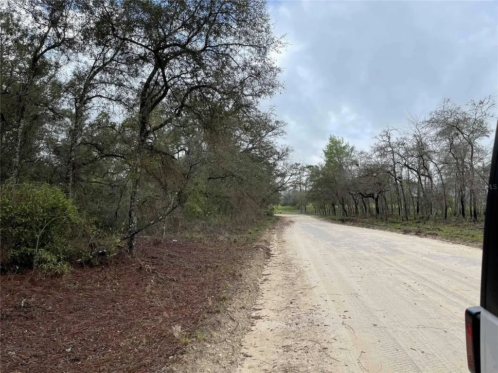 Lot 8 NE 120 Avenue Williston FL 32696