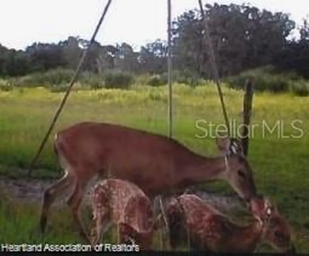 725 Moon Ranch Road Sebring FL 33870