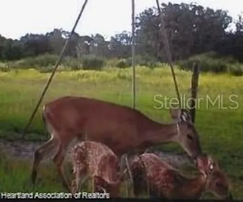 725 Moon Ranch Road Sebring FL 33870