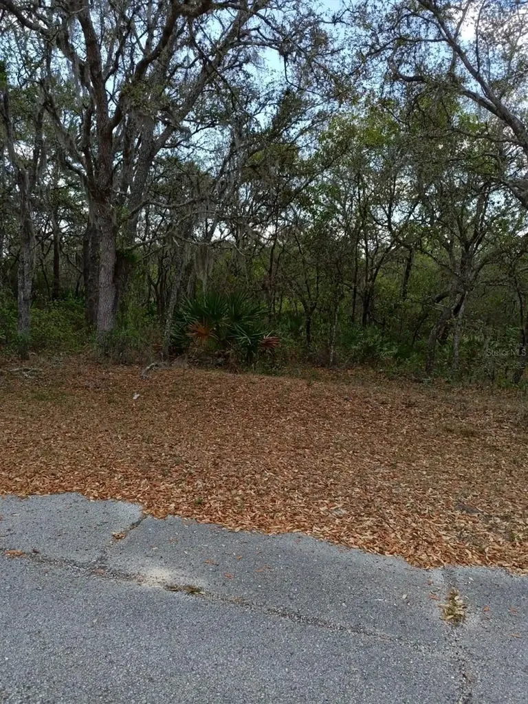 429 Naples Court Kissimmee FL 34759