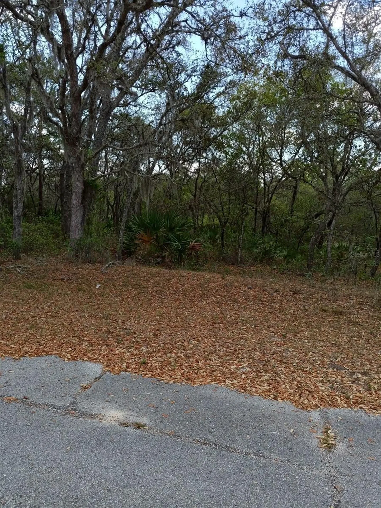 429 Naples Court Kissimmee FL 34759