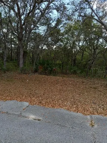 429 Naples Court Kissimmee FL 34759