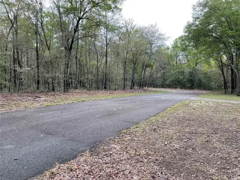 Lot 6 NE 6 Circle Williston FL 32696