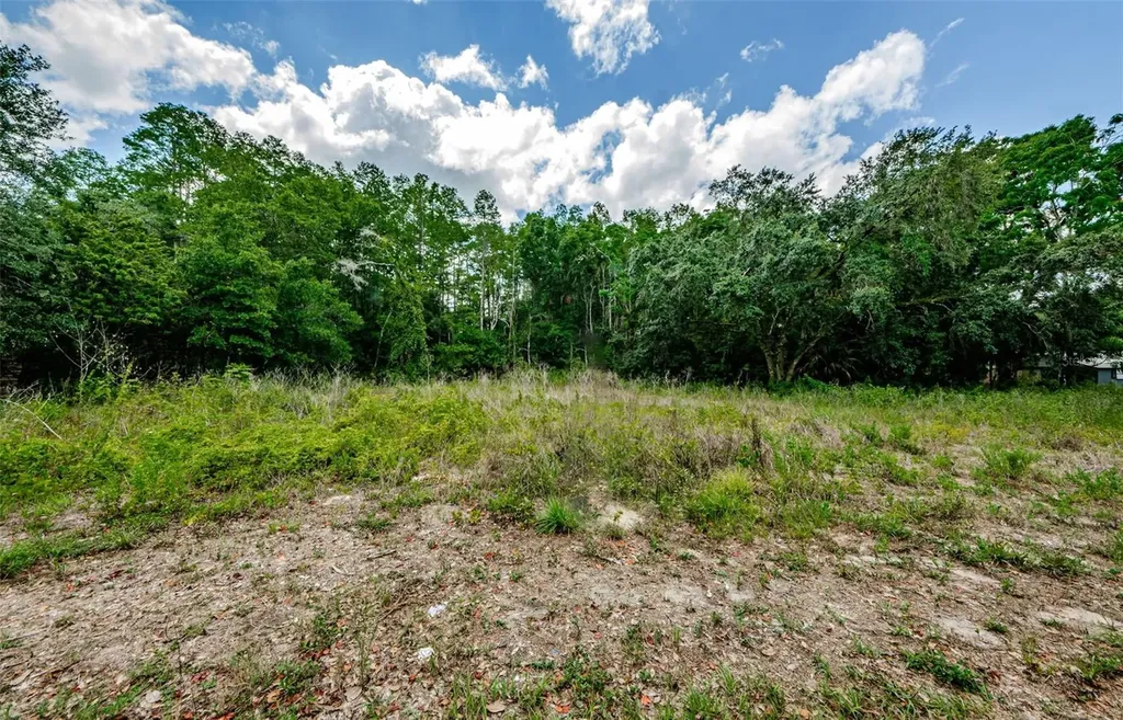 10086 Hilltop Drive New Port Richey FL 34654