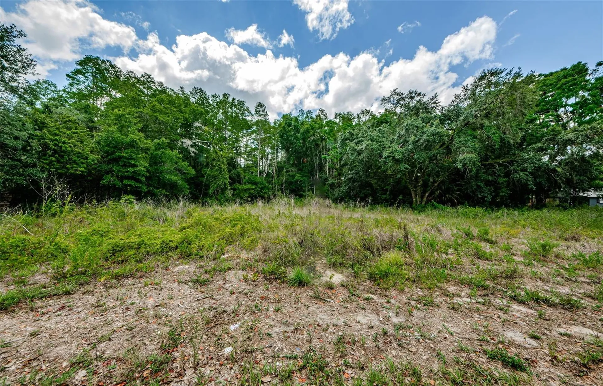 10086 Hilltop Drive New Port Richey FL 34654