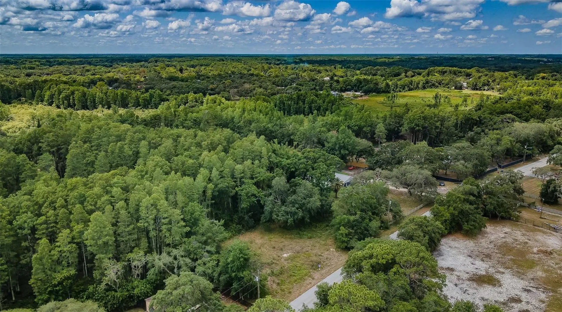 10086 Hilltop Drive New Port Richey FL 34654