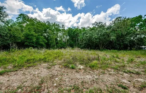 10086 Hilltop Drive New Port Richey FL 34654