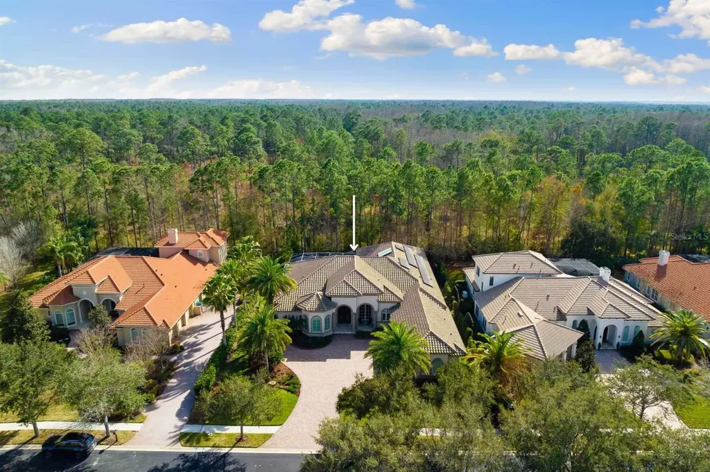 2611 Hawks Landing Boulevard Palm Harbor FL 34685