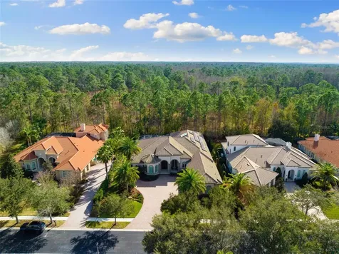 2611 Hawks Landing Boulevard Palm Harbor FL 34685