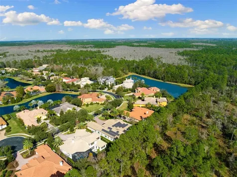 2611 Hawks Landing Boulevard Palm Harbor FL 34685