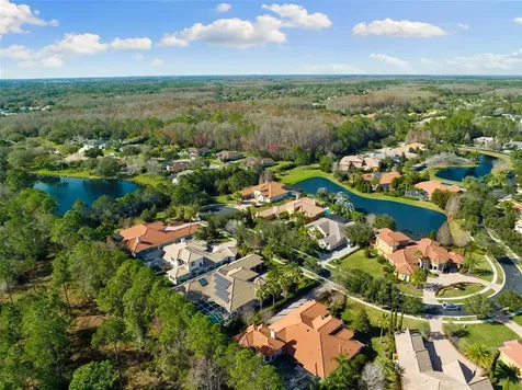 2611 Hawks Landing Boulevard Palm Harbor FL 34685