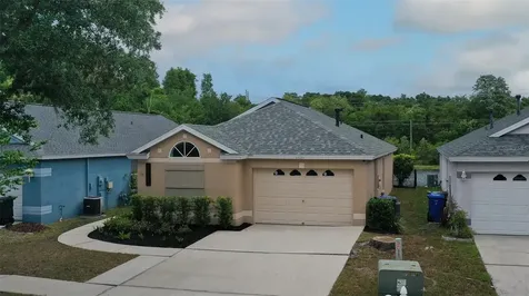 13121 Carrollwood Creek Drive Tampa FL 33624