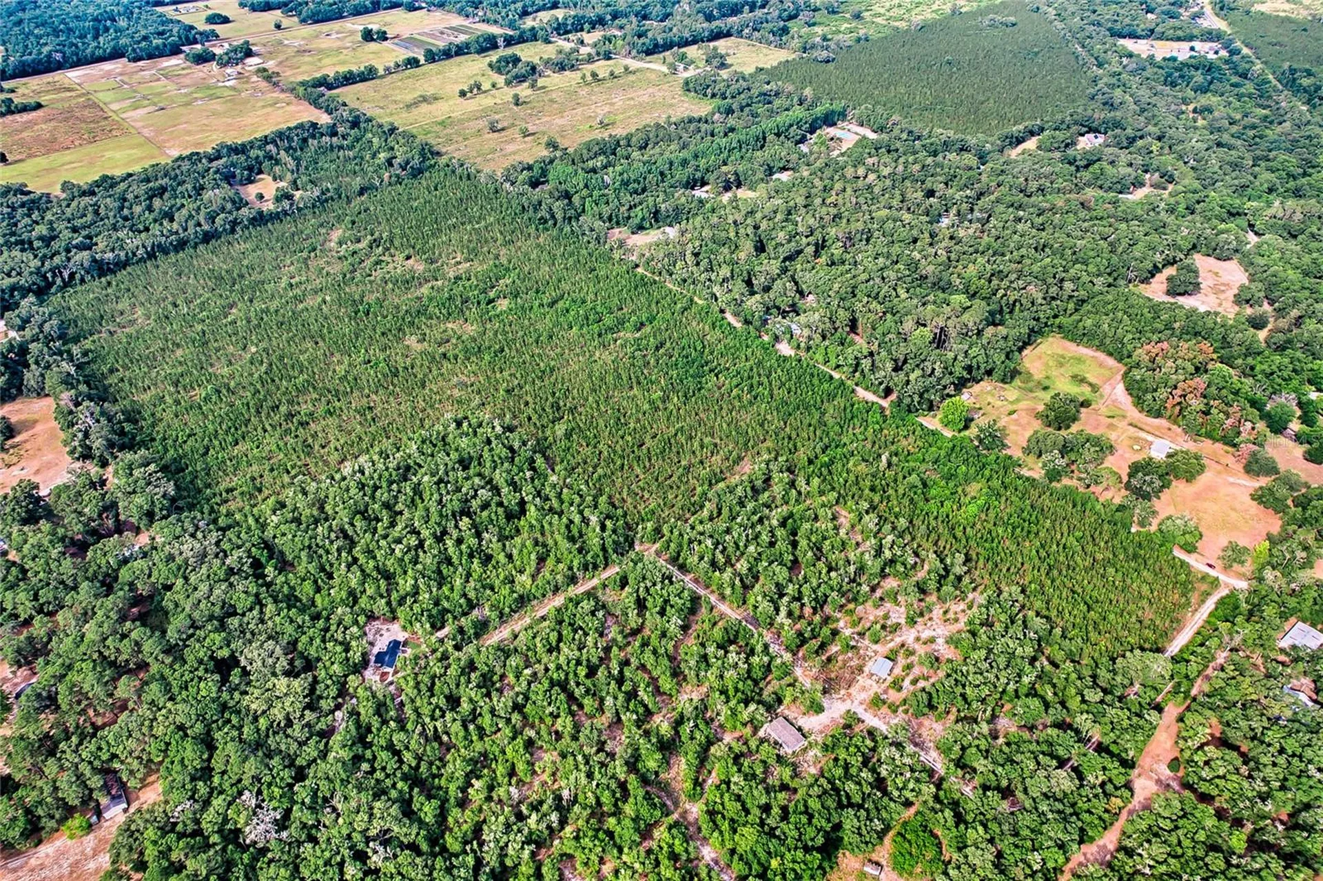 0 SW 120 Avenue Archer FL 32618