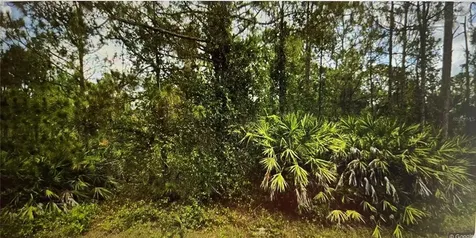 Lehigh Acres FL 33972
