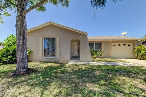 10207 Vista Cove Court Tampa FL 33615