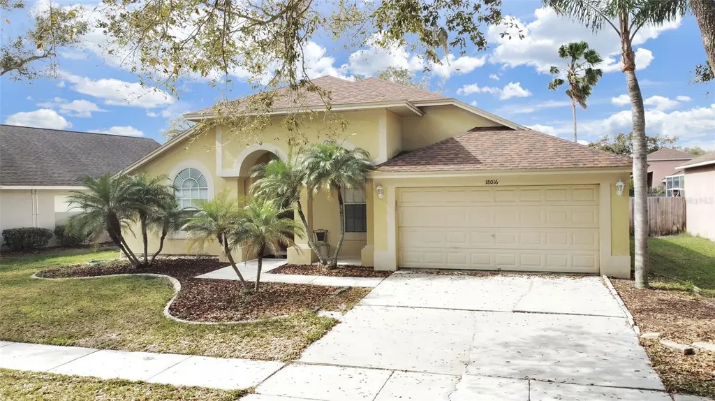 18016 Palm Breeze Drive Tampa FL 33647
