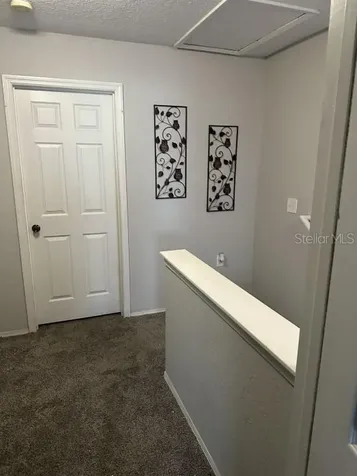 16305 Fairford Palms Court Tampa FL 33647
