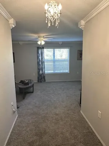 16305 Fairford Palms Court Tampa FL 33647