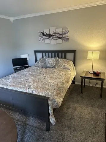 16305 Fairford Palms Court Tampa FL 33647