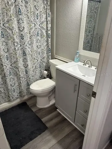 16305 Fairford Palms Court Tampa FL 33647