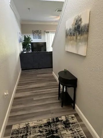 16305 Fairford Palms Court Tampa FL 33647